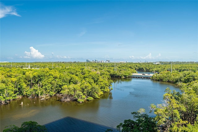 property view of water