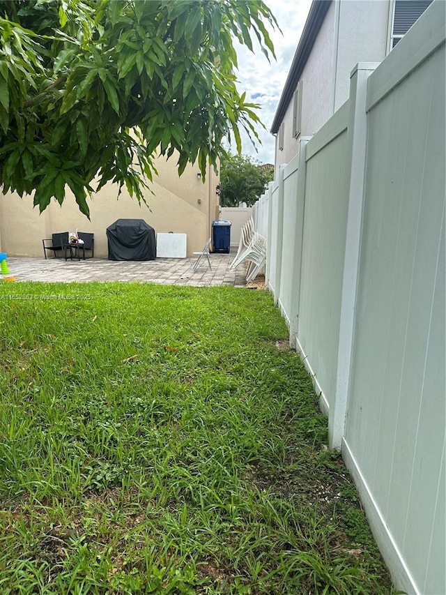 view of yard featuring a patio area