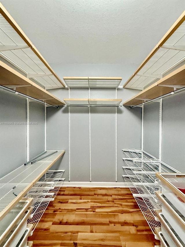 walk in closet featuring wood-type flooring