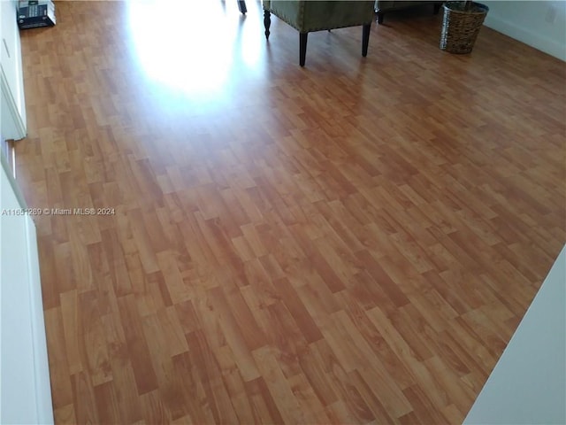 room details featuring wood-type flooring