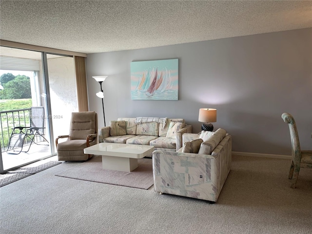 carpeted living room featuring a textured ceiling