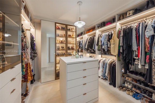 view of spacious closet