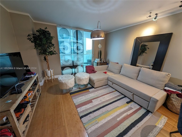 living room featuring wood-type flooring and ornamental molding