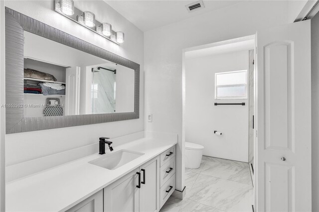 bathroom with toilet and vanity