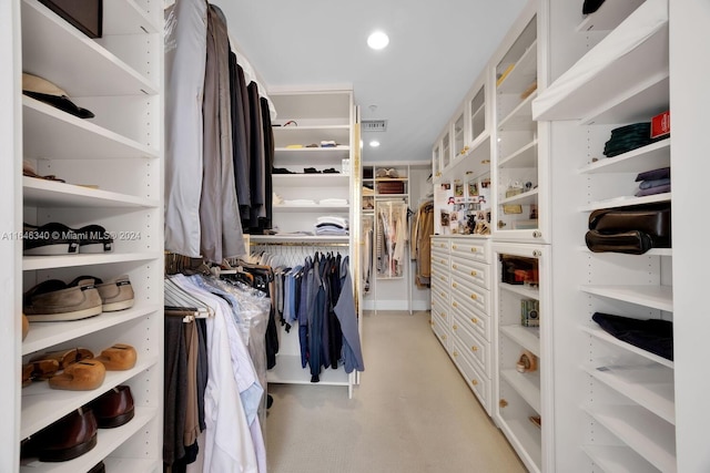 view of spacious closet