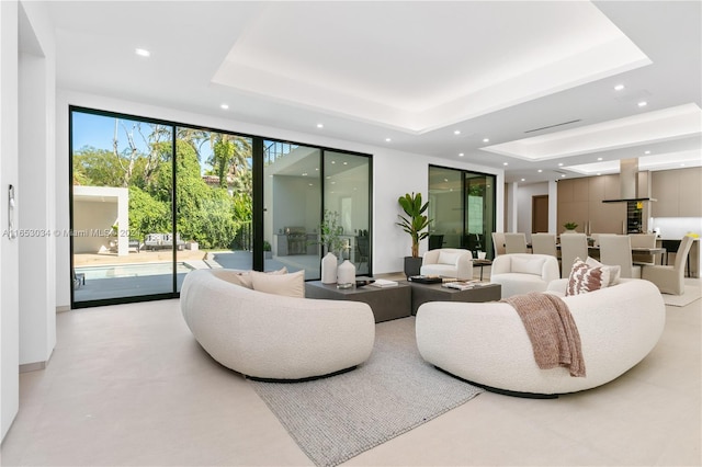 living room with a raised ceiling