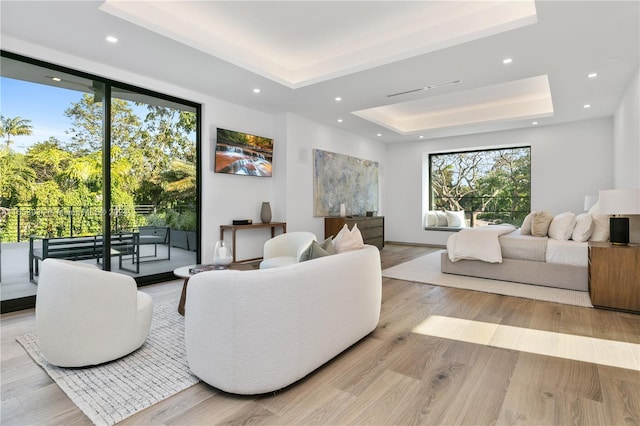 living room featuring a raised ceiling and light hardwood / wood-style flooring