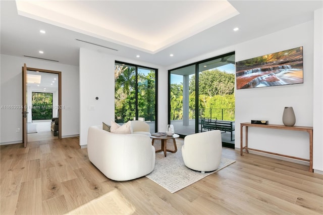 living area featuring a raised ceiling and light hardwood / wood-style floors