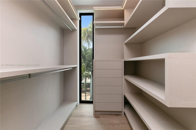 spacious closet with light hardwood / wood-style flooring