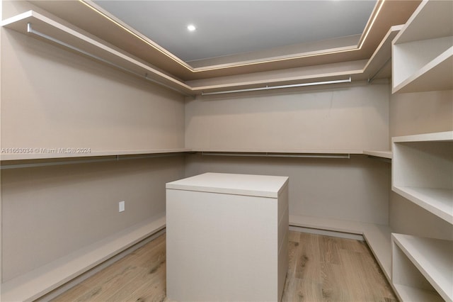 spacious closet featuring light hardwood / wood-style flooring