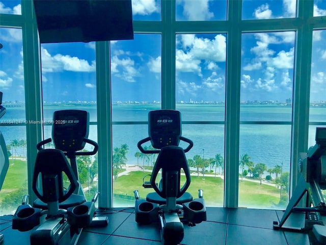 workout area featuring a wall of windows, a water view, and a healthy amount of sunlight