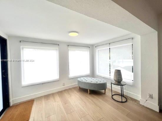 living area featuring light hardwood / wood-style floors