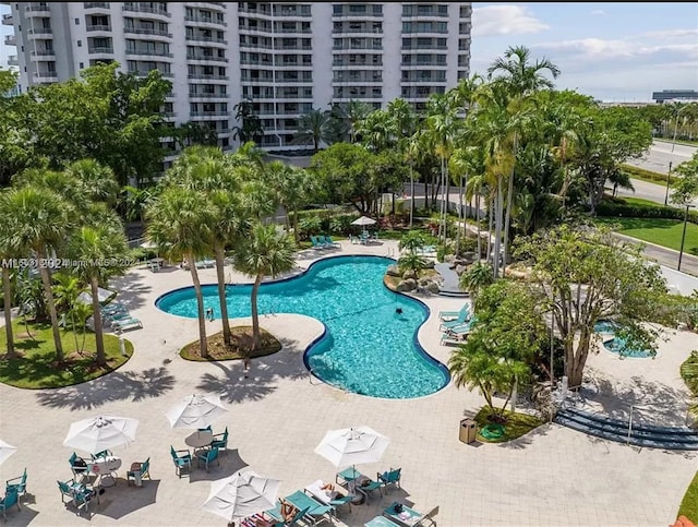 view of swimming pool with a patio area