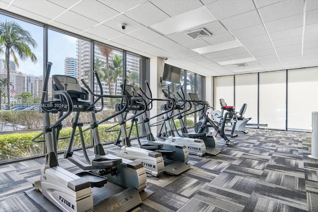 exercise room with floor to ceiling windows, dark colored carpet, and a drop ceiling