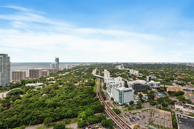 bird's eye view with a water view