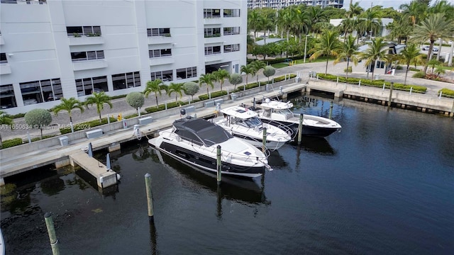 dock area with a water view