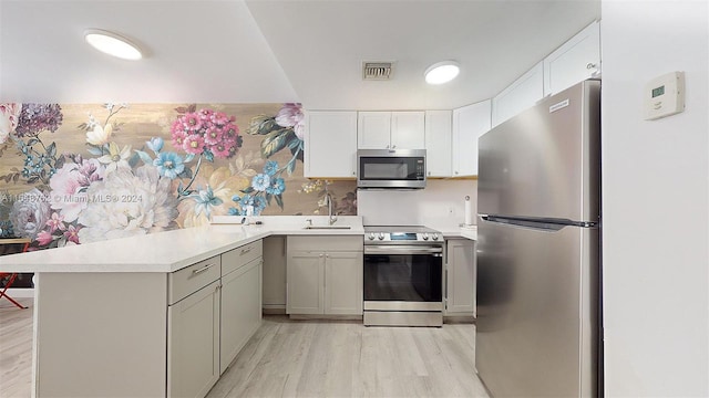 kitchen with light hardwood / wood-style floors, stainless steel appliances, sink, and backsplash