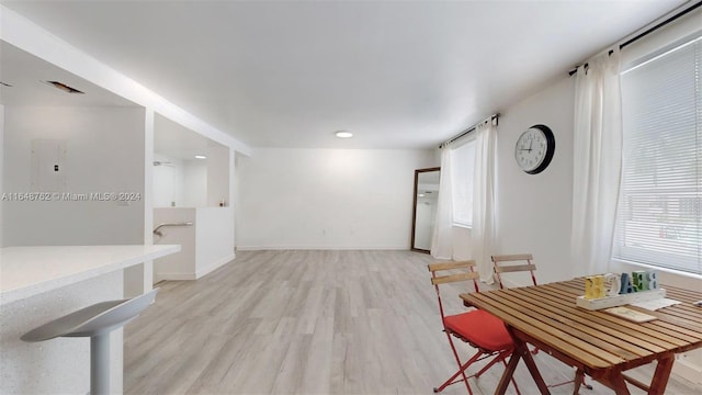 dining room with light hardwood / wood-style floors and a healthy amount of sunlight