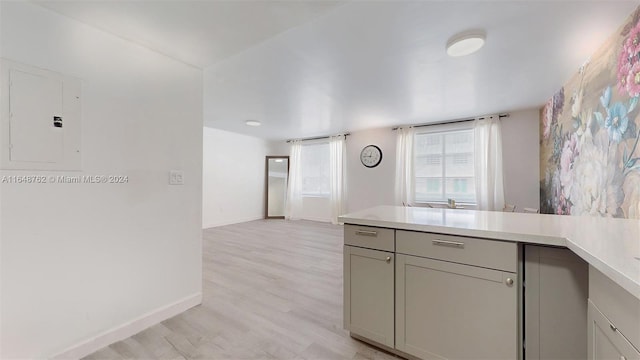 kitchen with gray cabinets, electric panel, and light wood-type flooring