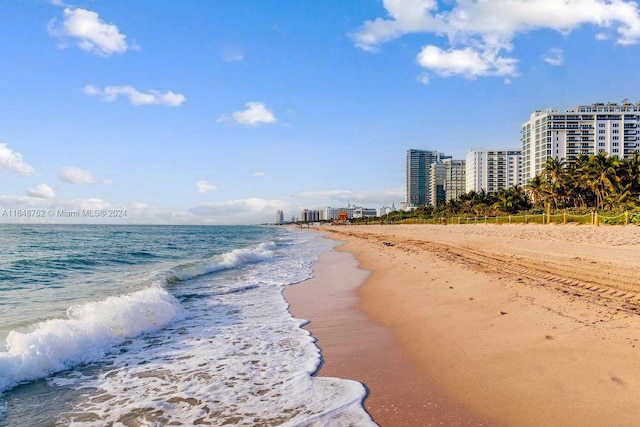 water view with a beach view