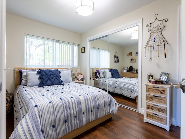 bedroom featuring dark hardwood / wood-style floors and a closet