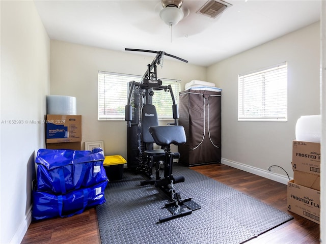 workout area featuring a wealth of natural light, ceiling fan, and dark hardwood / wood-style flooring