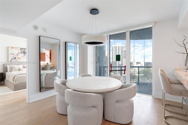 dining space with light hardwood / wood-style flooring and a healthy amount of sunlight