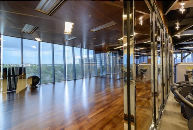 workout area with hardwood / wood-style flooring, a wall of windows, and a wealth of natural light