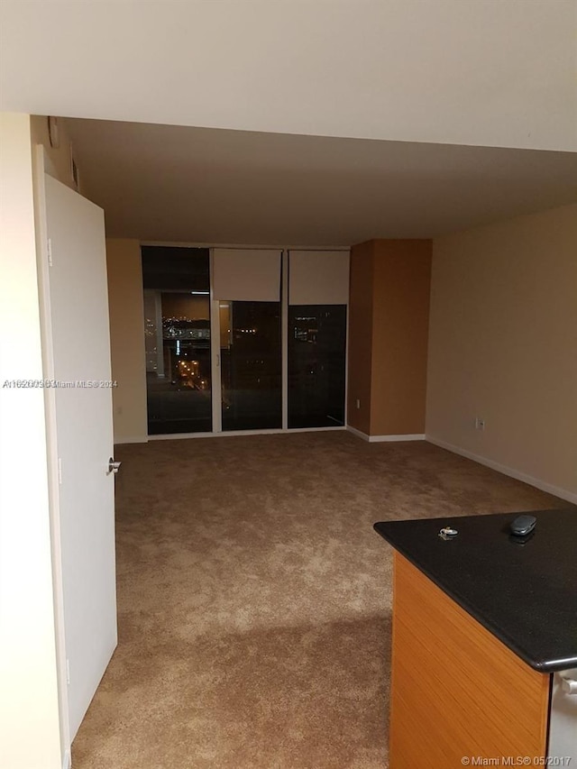 unfurnished living room featuring carpet floors