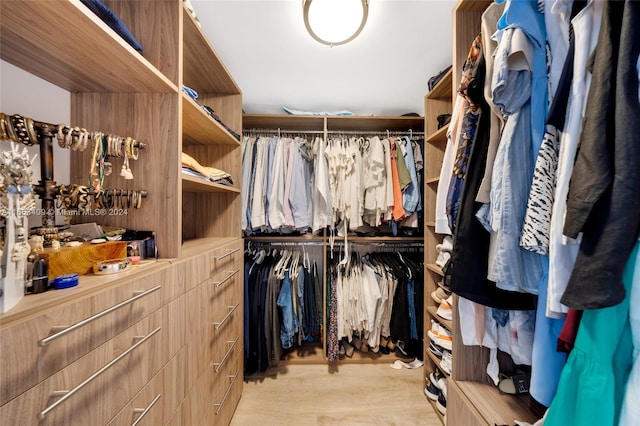 spacious closet with light hardwood / wood-style flooring