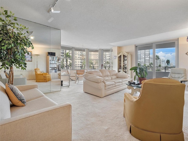 living room featuring a textured ceiling, carpet, and track lighting