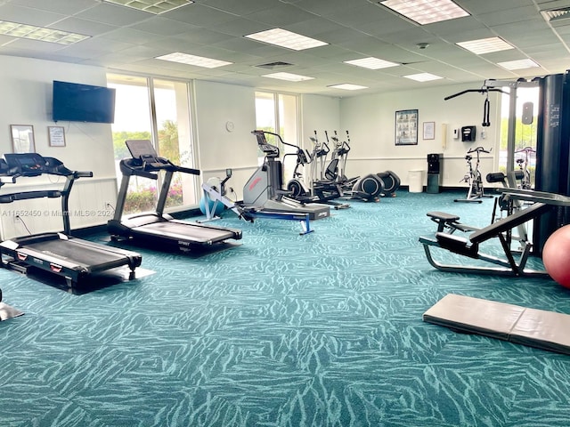 gym featuring a paneled ceiling and carpet