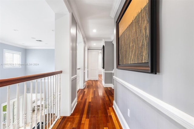 corridor with plenty of natural light, dark hardwood / wood-style flooring, and crown molding