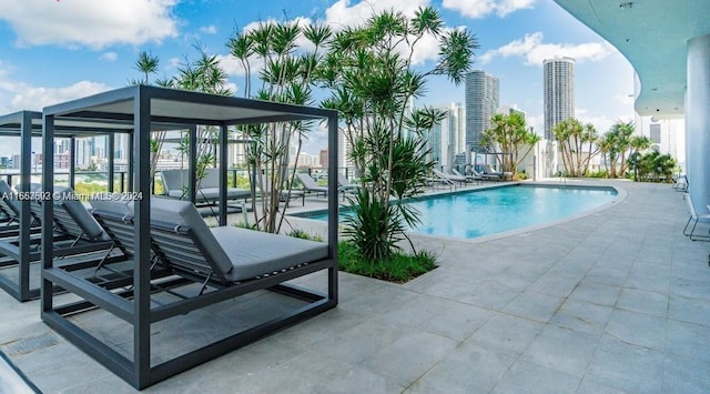 view of swimming pool with a patio