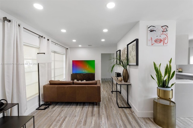 living room featuring light hardwood / wood-style flooring