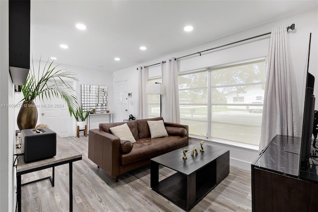 living room featuring light hardwood / wood-style flooring