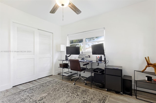 office area featuring light hardwood / wood-style flooring and ceiling fan