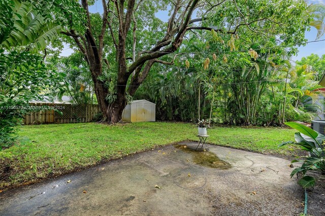 view of yard with a patio and a shed