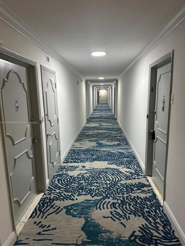 hallway featuring ornamental molding and carpet flooring