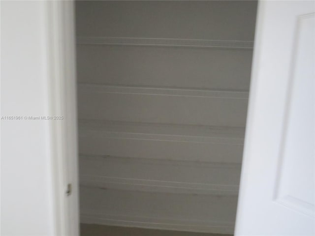 view of closet