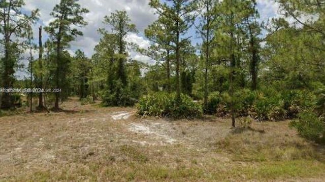 2321 Macarthur Ave, Lehigh Acres FL, 33920 land for sale