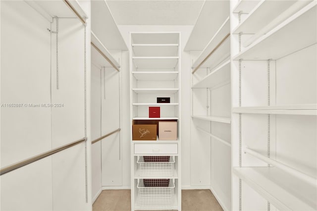 spacious closet with light colored carpet