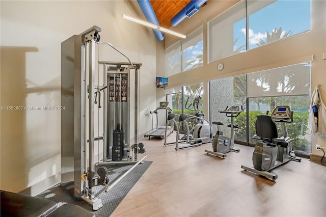 exercise room with a towering ceiling and a healthy amount of sunlight