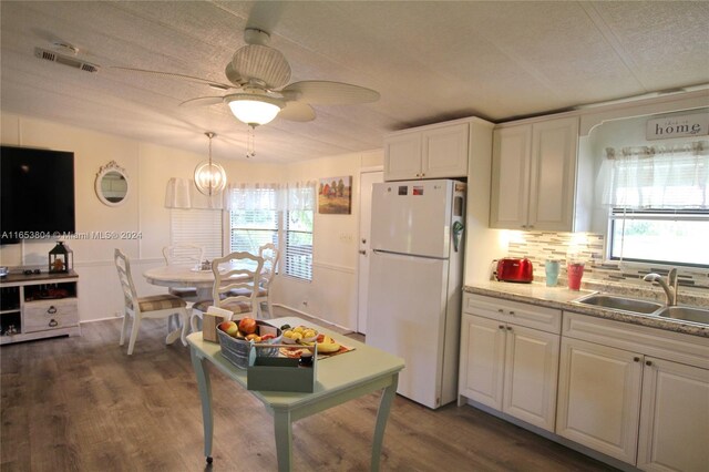 1113 Lissie Ln, Bulkhead Ridge, FL 34974 - kitchen featuring dark wood-style floors, a wealth of natural light, a sink, and freestanding refrigerator