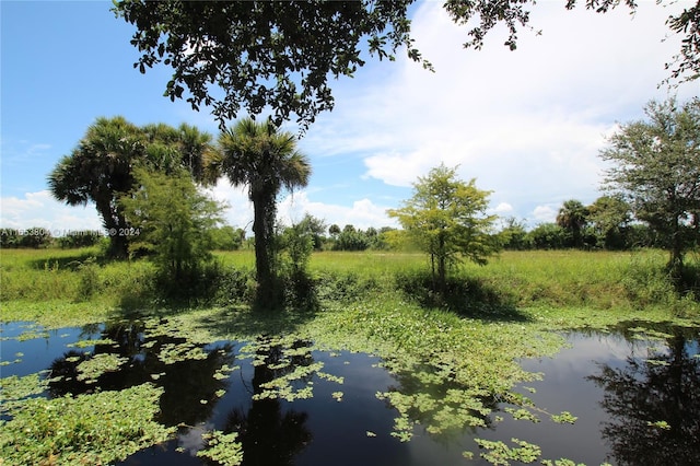 1113 Lissie Ln, Bulkhead Ridge, FL 34974 - view of local wilderness featuring a water view