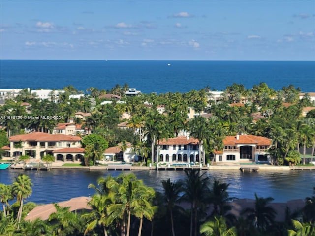 aerial view featuring a water view