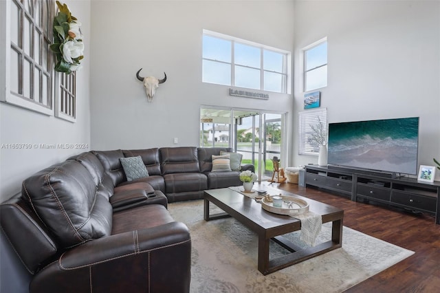 living room featuring a towering ceiling, plenty of natural light, and dark hardwood / wood-style floors