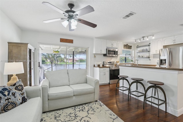 living room featuring a wealth of natural light, dark wood-type flooring, ceiling fan, and a textured ceiling