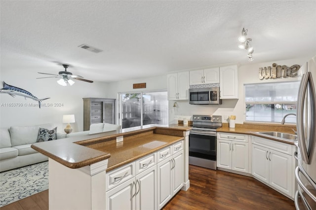 kitchen with plenty of natural light, stainless steel appliances, sink, and dark hardwood / wood-style floors