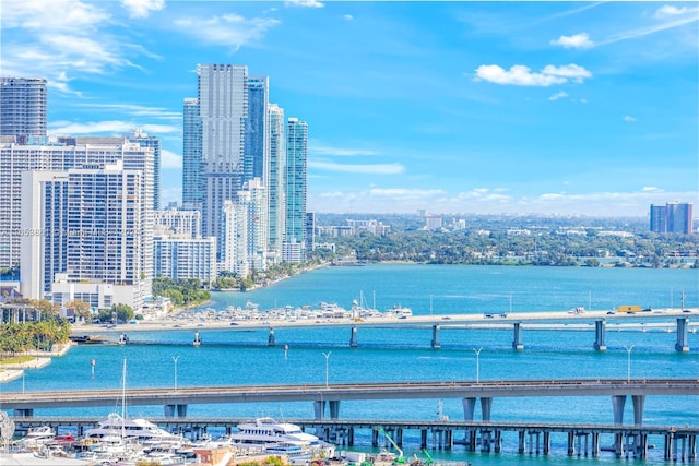 808 Brickell Key Dr Unit 2005, Miami, FL 33131 - water view featuring a notable bridge